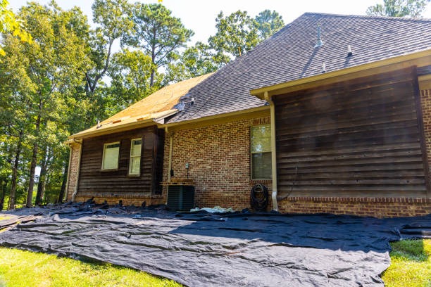 High-Quality Roof Replacement Bellevue for Every Budget