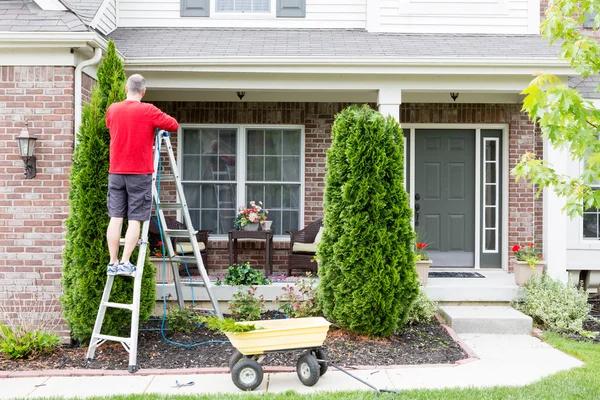 Best Tree Service Janesville for Complete Tree Maintenance Services