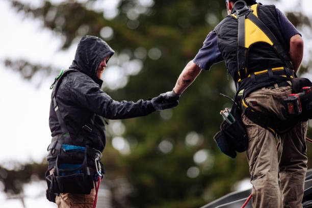 Experienced Roofing Contractor Albany for Long-Lasting Roof Installations