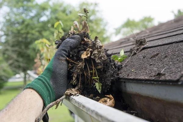 Residential and Commercial Gutter Cleaning Columbus Services