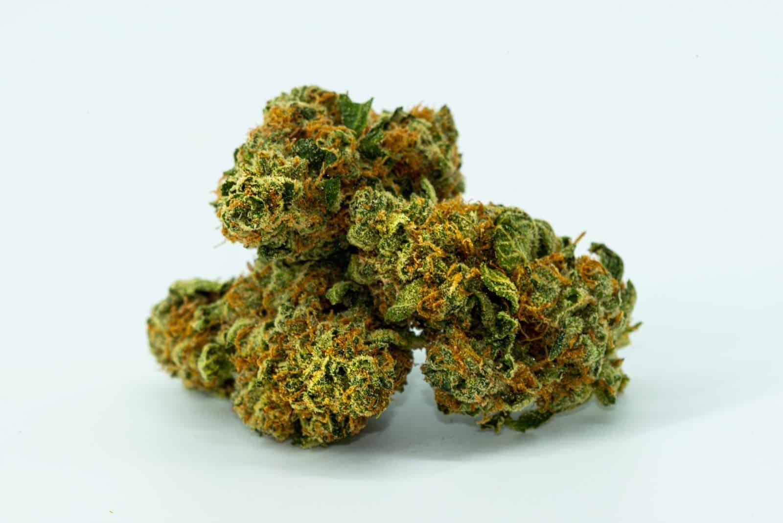 Shop High-Quality Cannabis With Online Wiet Kopen Using Trusted Resources