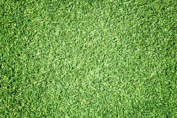Find the Best Lawn Care Service Near Me for a Healthy and Beautiful Yard