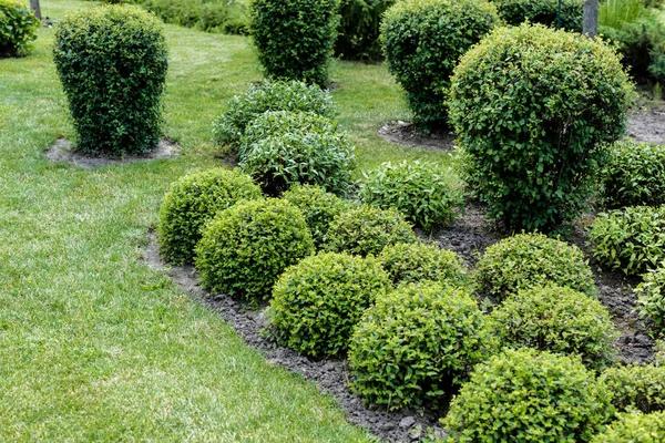 Expert Landscape Design and Maintenance Services